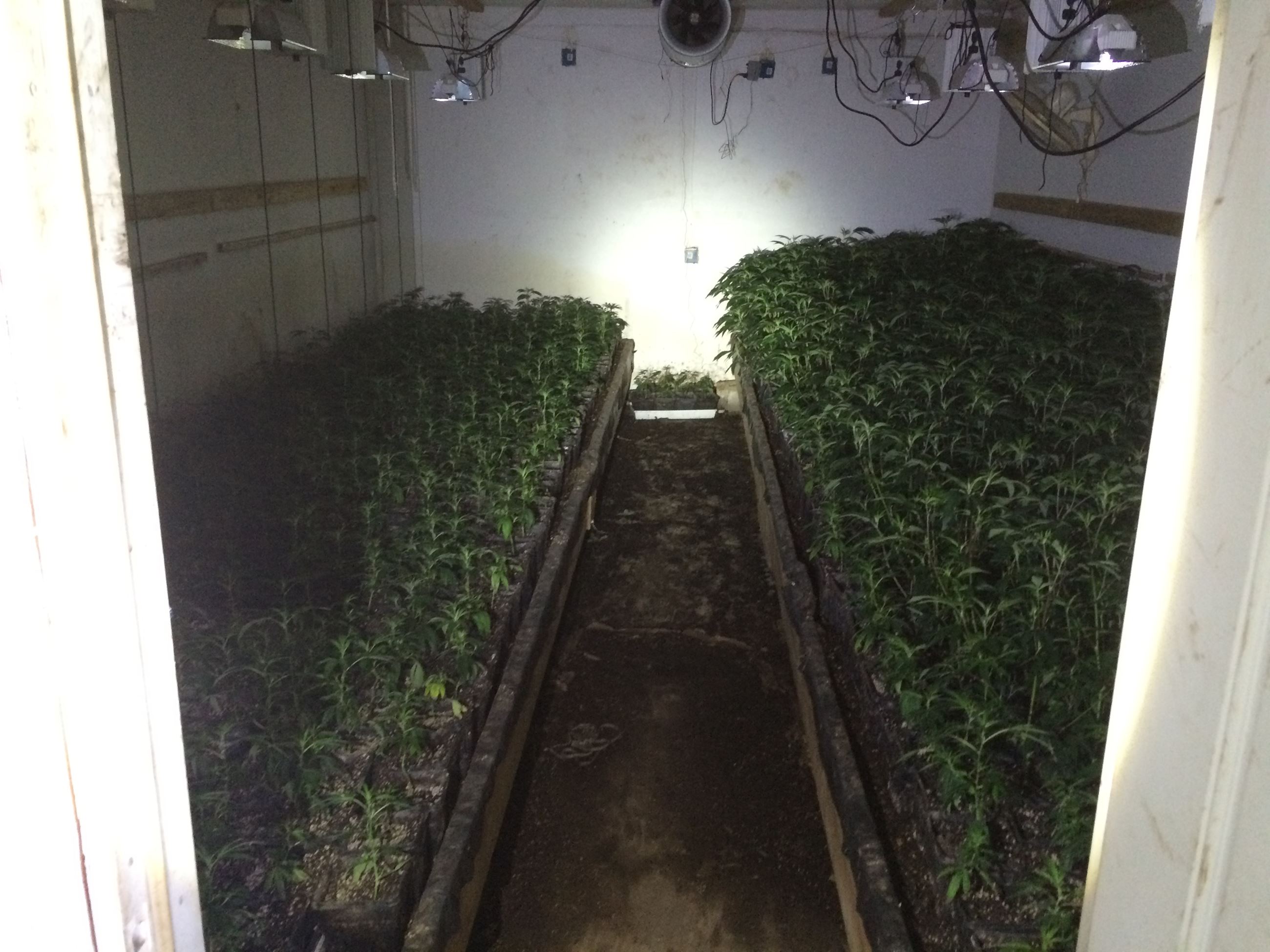 Hash Lab - 201602608